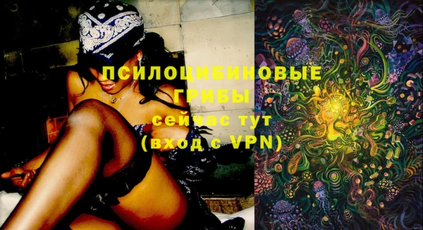 стаф Алексеевка