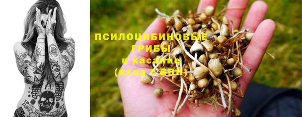 стаф Алексеевка