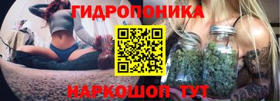 стафф Пыть-Ях