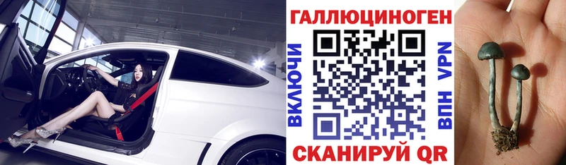 MEGA как войти  Томск  Галлюциногенные грибы Psilocybe 