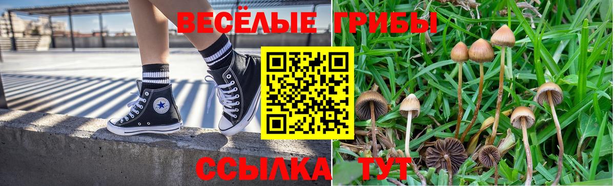 Псилоцибиновые грибы прущие грибы  Галлюциногенные грибы мицелий  Томск  Вход с VPN 