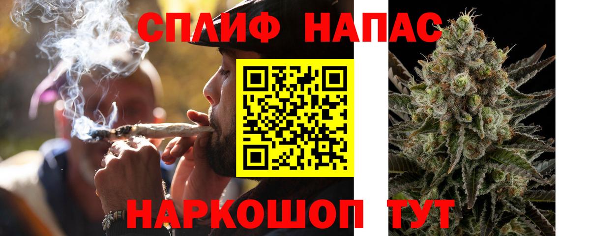 Каннабис семена  Конопля семена  Томск  Бошки марихуана тримм  Вход с VPN 